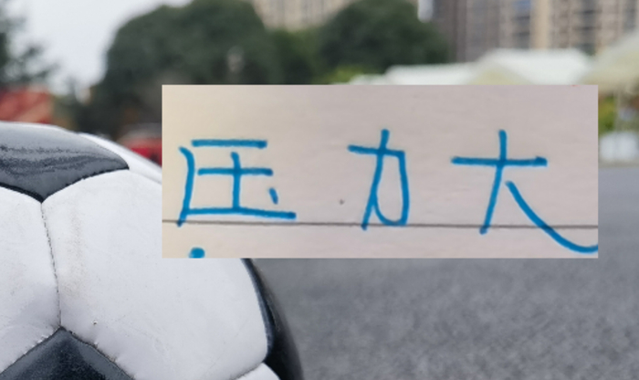 申花今年压力大!只字没提成绩目标 核心后卫蒋圣龙也没有消息|上海申花|中后卫|蒋光太|上海申花足球俱乐部|杨帅_新浪体育_新浪新闻